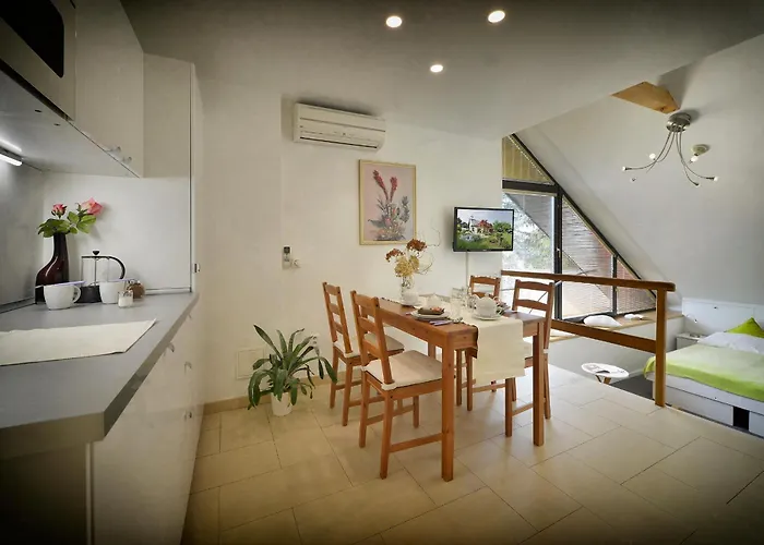 A. V. Aparthotel 4*